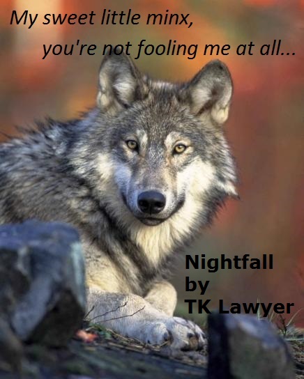 Nightfall wolf meme 1